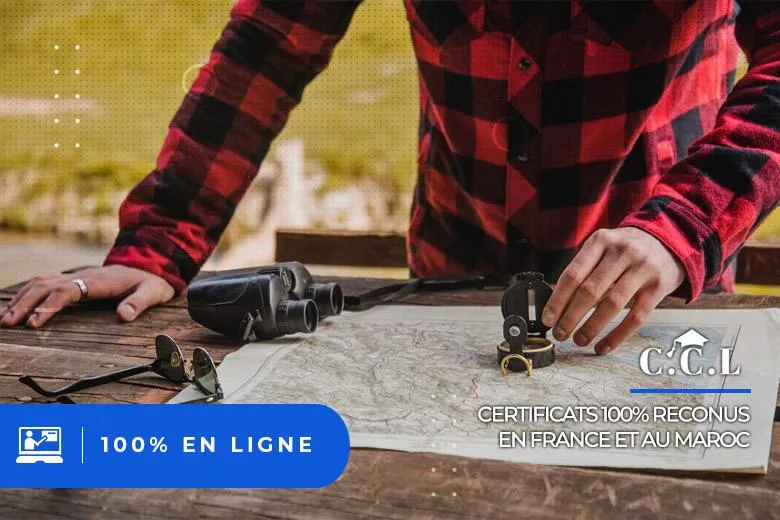 Topographie et Géomorphologie : Maîtriser la Cartographie Géologique avec QGIS, ArcGIS et MapInfo