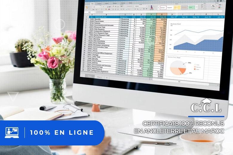 Contrôle de Gestion 2.0 : Modélisation et Analyse Financière Avancées avec Tableaux de Bord
