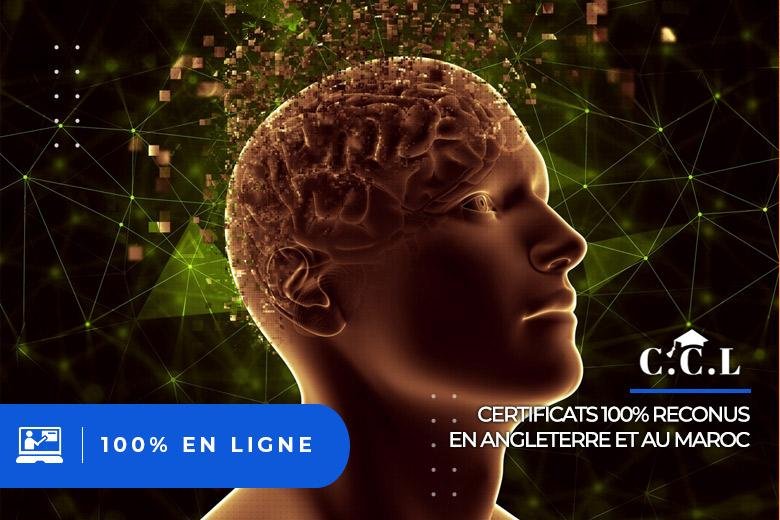 Neurosciences et Intelligence Émotionnelle : Applications Pratiques au Leadership et à la Communication