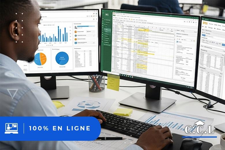 Analyse de Données Décisionnelle et Statistique avec Excel, Power Bi et SPSS
